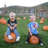 Dykeman Farm & Pumpkin Patch photo