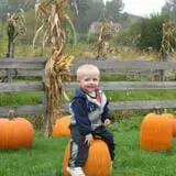Dykeman Farm & Pumpkin Patch photo
