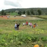 Dykeman Farm & Pumpkin Patch photo