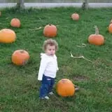 Dykeman Farm & Pumpkin Patch photo