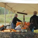 Dykeman Farm & Pumpkin Patch photo