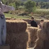 Dykeman Farm & Pumpkin Patch photo