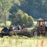 Dykeman Farm & Pumpkin Patch photo