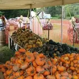 Dykeman Farm & Pumpkin Patch photo