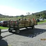 Dykeman Farm & Pumpkin Patch photo