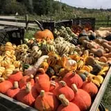Dykeman Farm & Pumpkin Patch photo