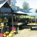 Dykeman Farm & Pumpkin Patch photo
