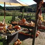Dykeman Farm & Pumpkin Patch photo