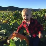 Dykeman Farm & Pumpkin Patch photo