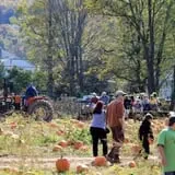 Dykeman Farm & Pumpkin Patch photo