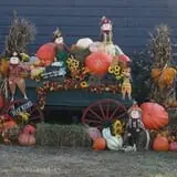 Dykeman Farm & Pumpkin Patch photo