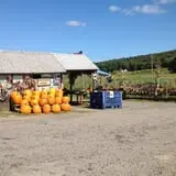 Dykeman Farm & Pumpkin Patch photo