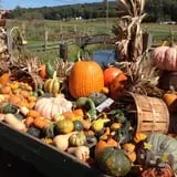 Dykeman Farm & Pumpkin Patch photo