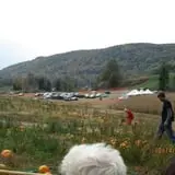 Dykeman Farm & Pumpkin Patch photo