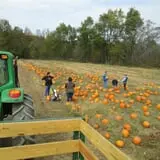 Dykeman Farm & Pumpkin Patch photo