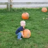 Dykeman Farm & Pumpkin Patch photo