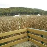 Dykeman Farm & Pumpkin Patch photo