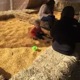 Dykeman Farm & Pumpkin Patch photo
