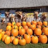 Dykeman Farm & Pumpkin Patch photo