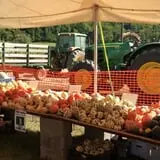 Dykeman Farm & Pumpkin Patch photo