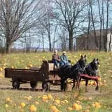 Dykeman Farm & Pumpkin Patch photo