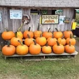 Dykeman Farm & Pumpkin Patch photo