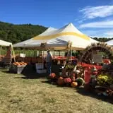 Dykeman Farm & Pumpkin Patch photo