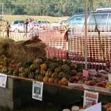 Dykeman Farm & Pumpkin Patch photo