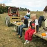 Dykeman Farm & Pumpkin Patch photo