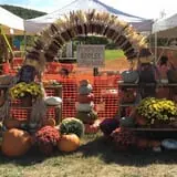 Dykeman Farm & Pumpkin Patch photo