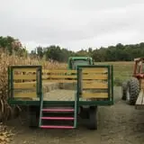 Dykeman Farm & Pumpkin Patch photo