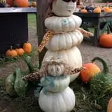 Dykeman Farm & Pumpkin Patch photo