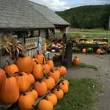 Dykeman Farm & Pumpkin Patch photo