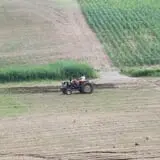 Dykeman Farm & Pumpkin Patch photo