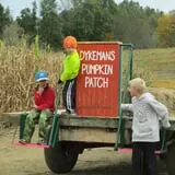 Dykeman Farm & Pumpkin Patch photo