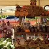 Dykeman Farm & Pumpkin Patch photo