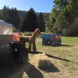 Dykeman Farm & Pumpkin Patch photo