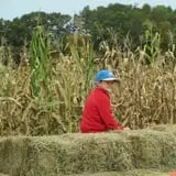 Dykeman Farm & Pumpkin Patch photo