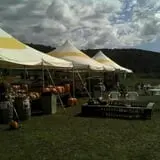 Dykeman Farm & Pumpkin Patch photo