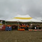 Dykeman Farm & Pumpkin Patch photo
