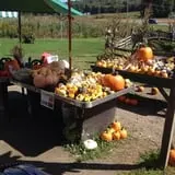 Dykeman Farm & Pumpkin Patch photo