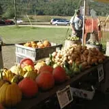 Dykeman Farm & Pumpkin Patch photo