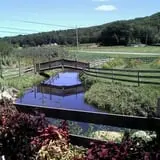 Dykeman Farm & Pumpkin Patch photo