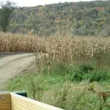 Dykeman Farm & Pumpkin Patch photo