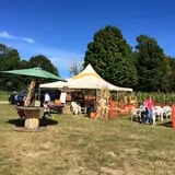 Dykeman Farm & Pumpkin Patch photo