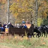 Dykeman Farm & Pumpkin Patch photo