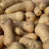 Cedar Circle Farm photo