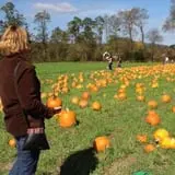 Cedar Circle Farm photo