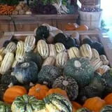 Cedar Circle Farm photo