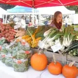 Cedar Circle Farm photo